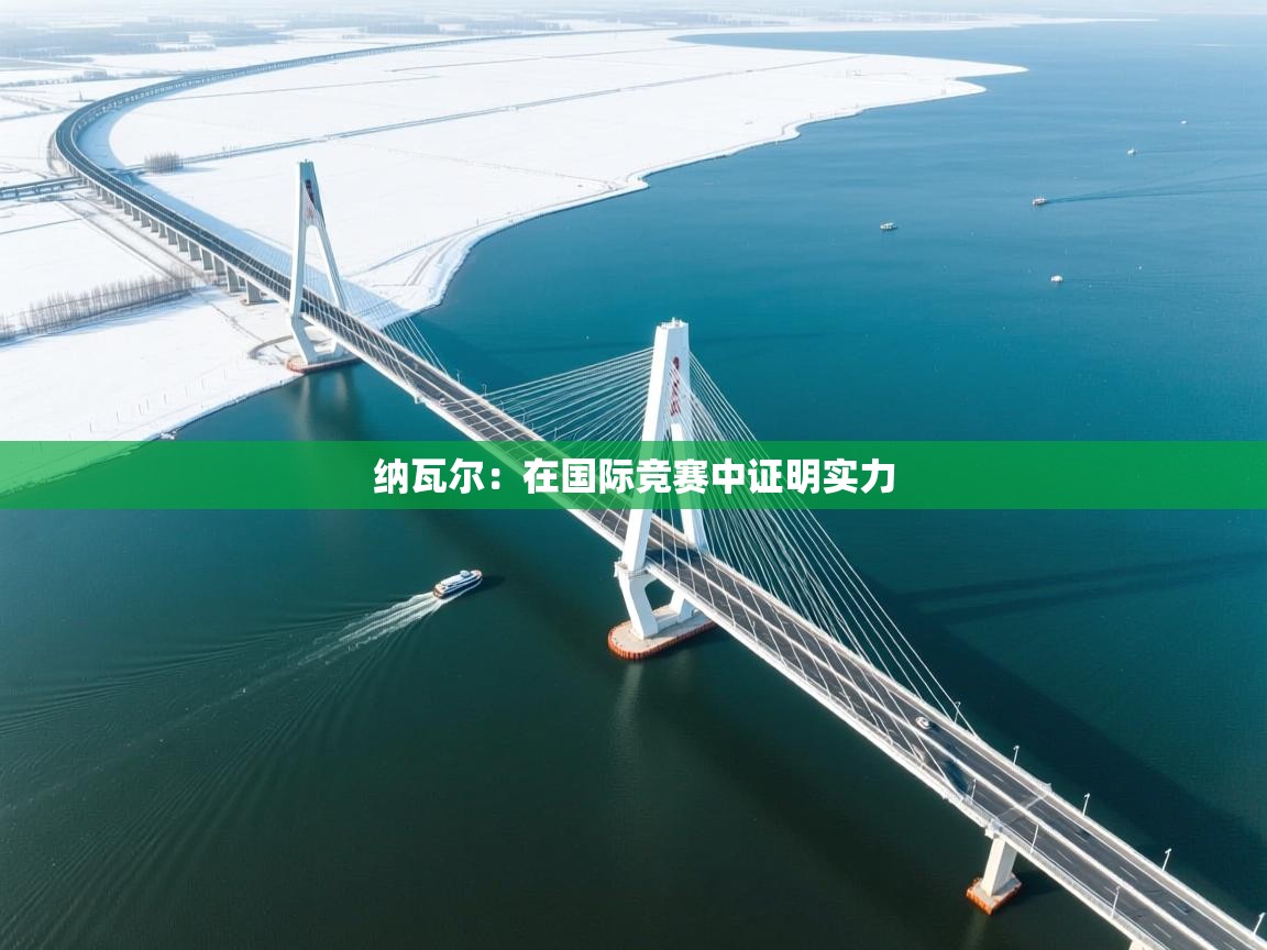 纳瓦尔:在国际竞赛中证明实力 第1张