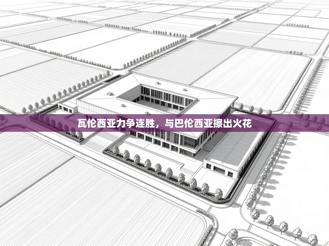 瓦伦西亚力争连胜，与巴伦西亚擦出火花  第2张